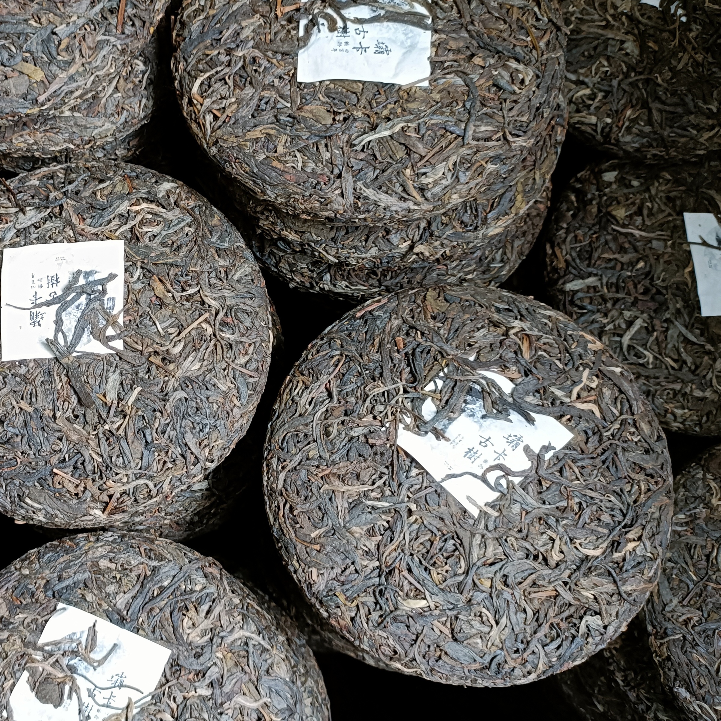 2022年壩卡古樹200g-2