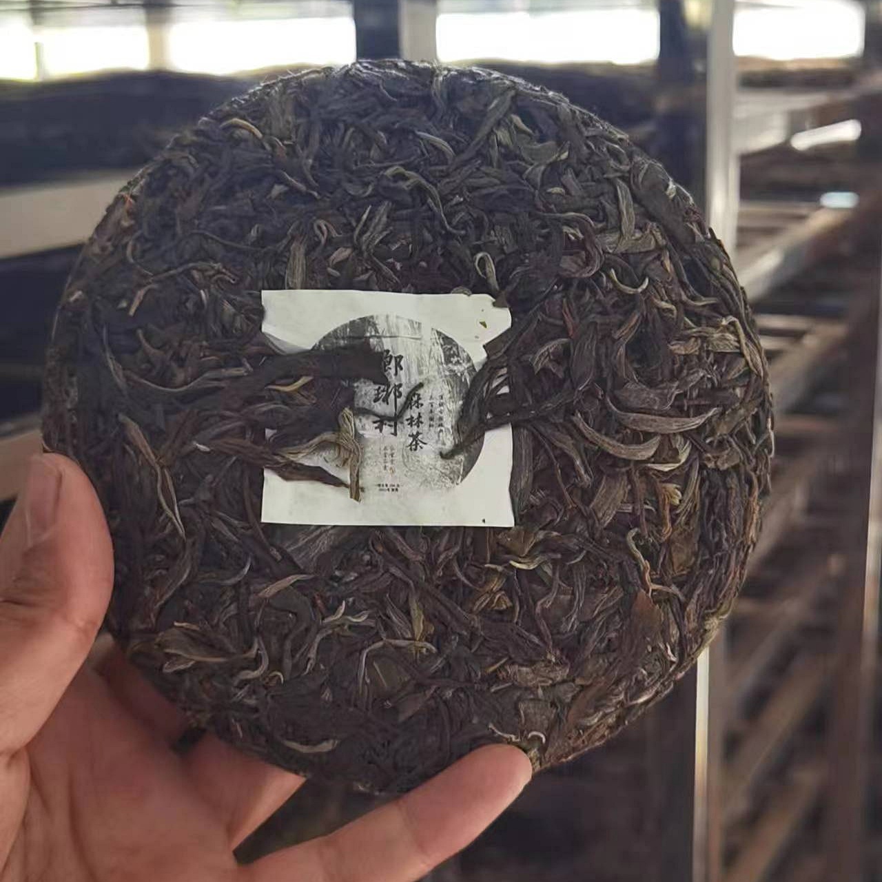 2023年瑯琊森林茶古樹純料200g-2