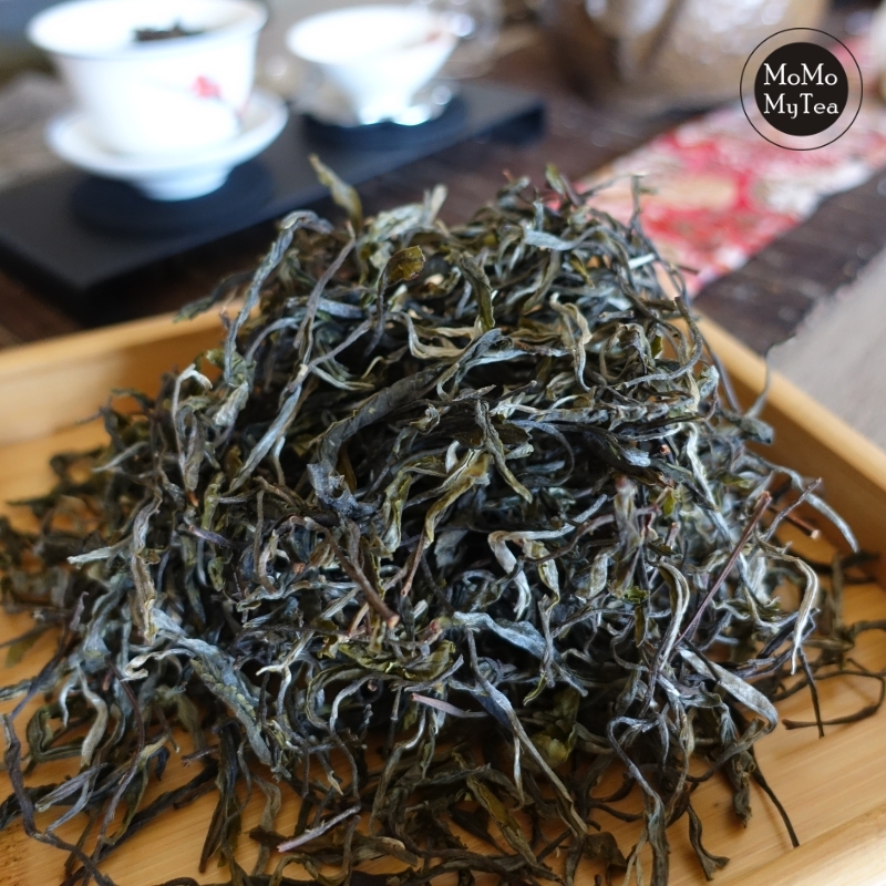 2018荒山古樹-瀾滄馬台01.jpg