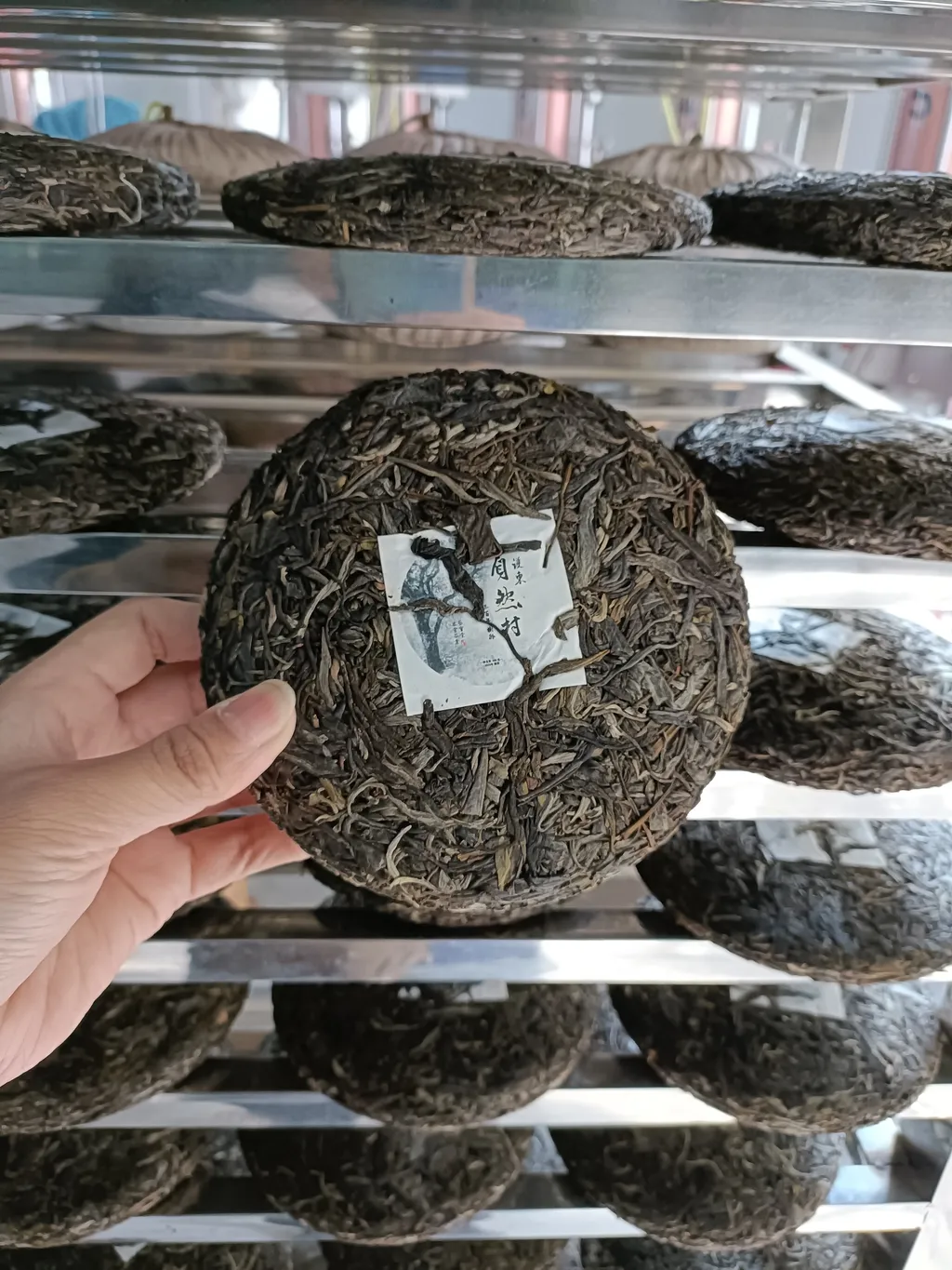 2023年護東自然村古樹200g-4