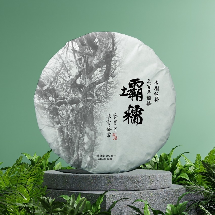 (預售)2024壩糯藤條古樹200g