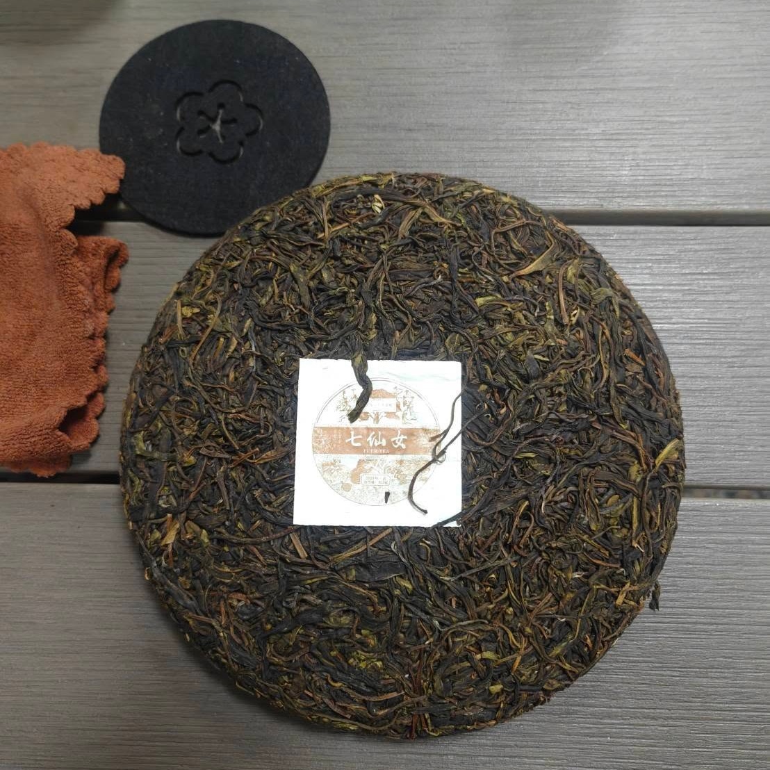 2025白鶯山七仙女千年古樹-3