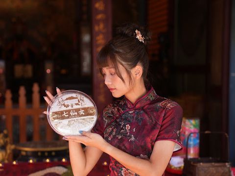 2025白鶯山七仙女千年古樹-4