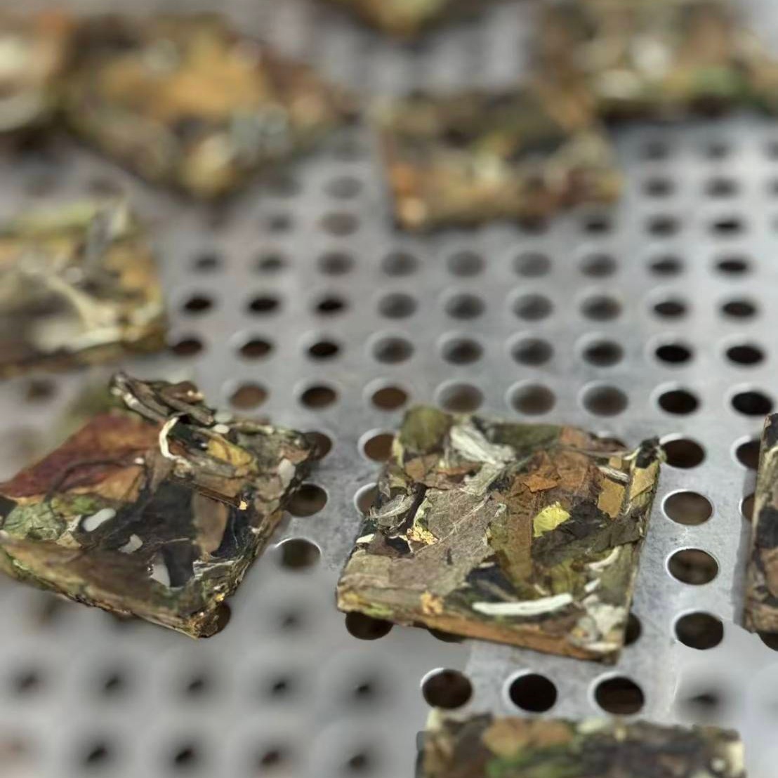 2025年大雪山古樹谷花白茶小方片-2