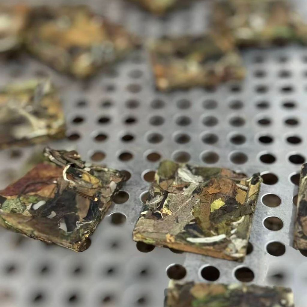 2025年大雪山古樹谷花白茶小方片-2