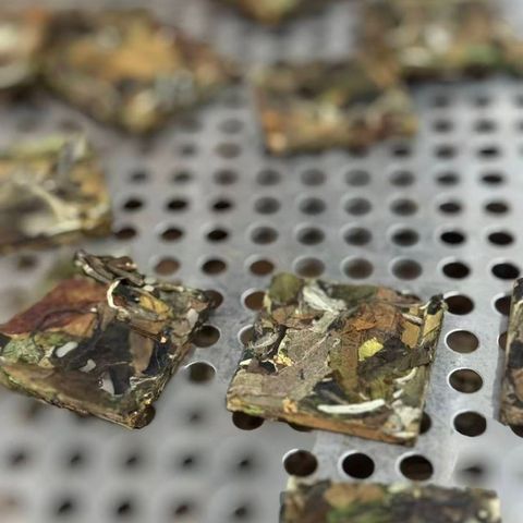 2025年大雪山古樹谷花白茶小方片-2