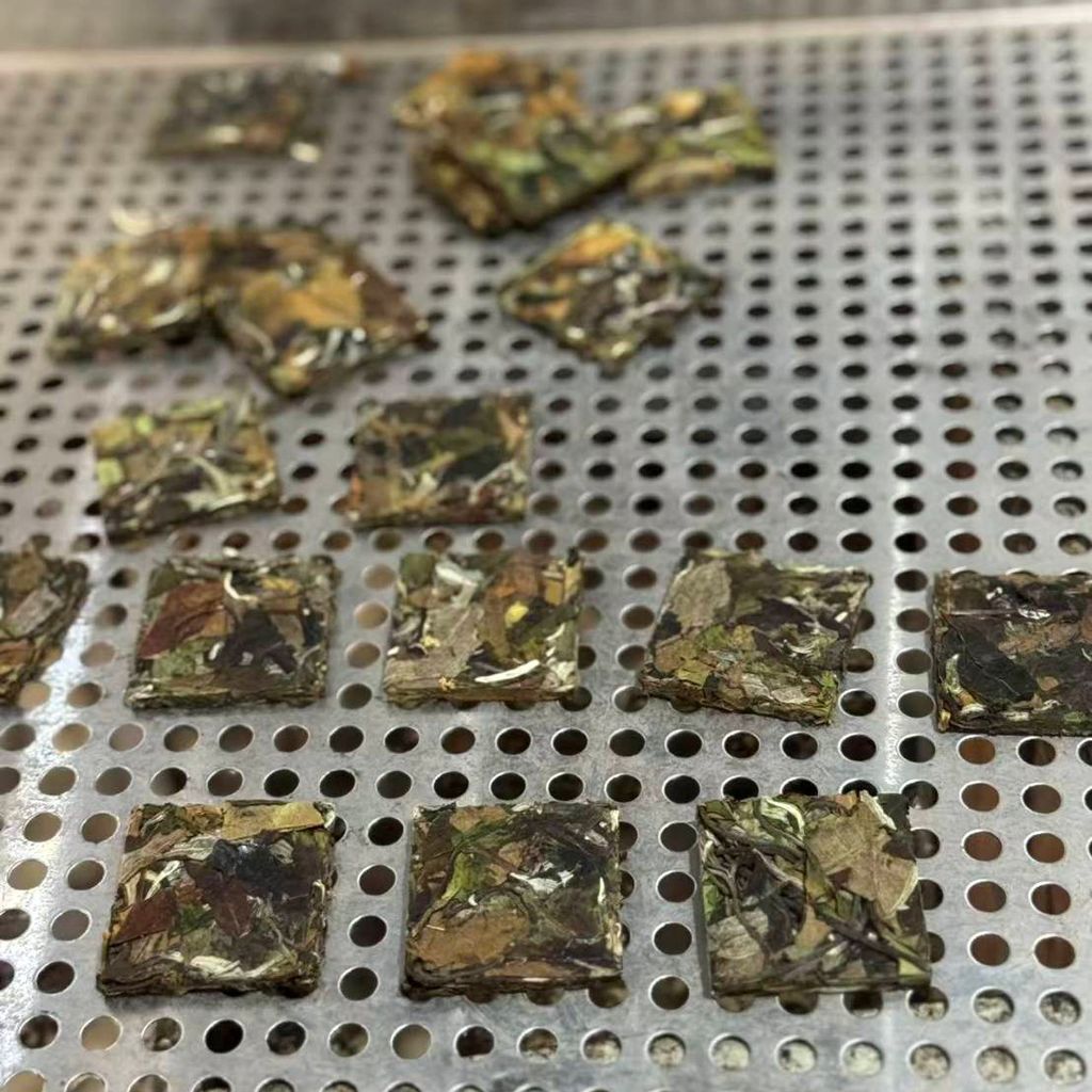 2025年大雪山古樹谷花白茶小方片-3