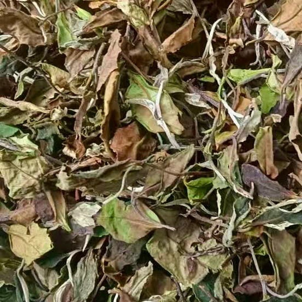 2025年大雪山古樹谷花白茶小方片-6