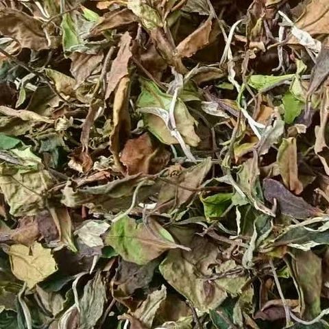 2025年大雪山古樹谷花白茶小方片-6