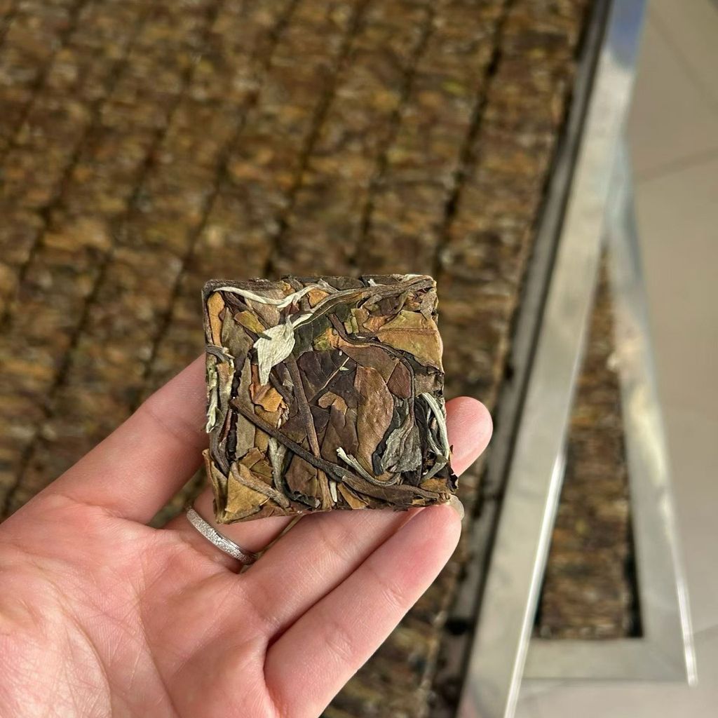 2025年大雪山古樹谷花白茶小方片-5