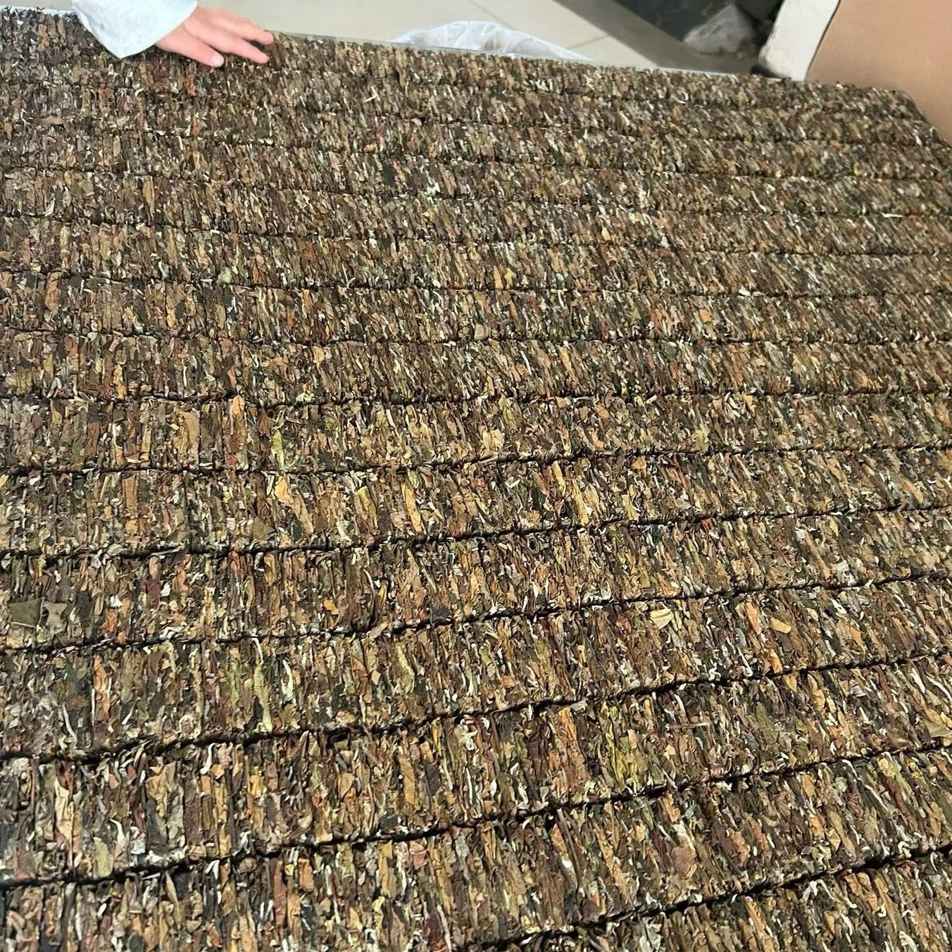 2025年大雪山古樹谷花白茶小方片-4