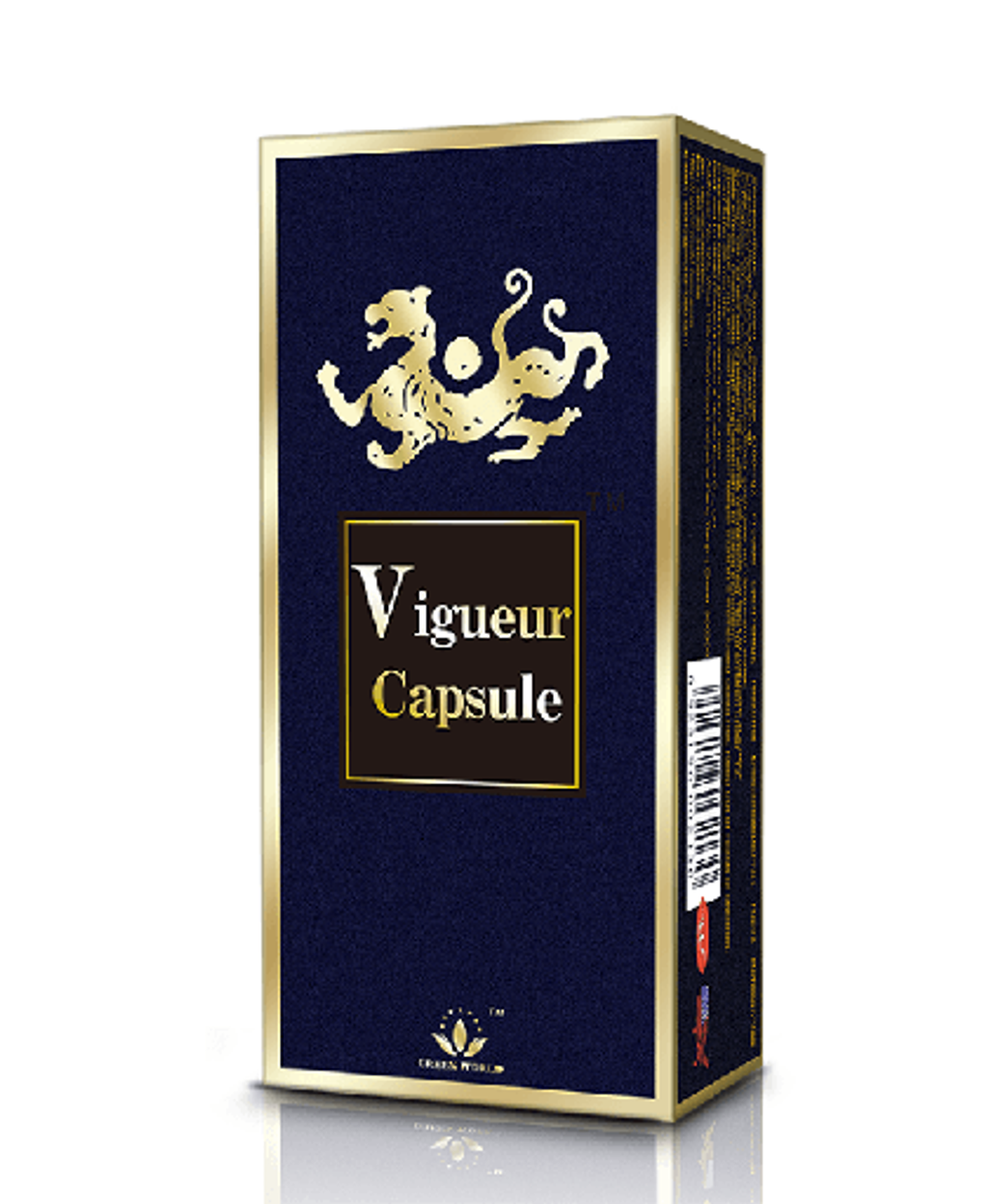 Vigeaur3.png