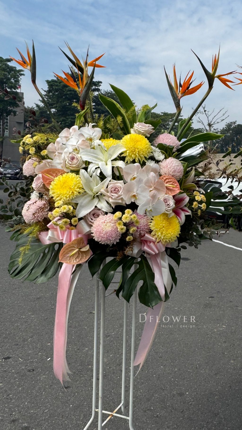 image_5FAC5096-0DEC-453D-9C29-2FE3E055EA7D_1761623351