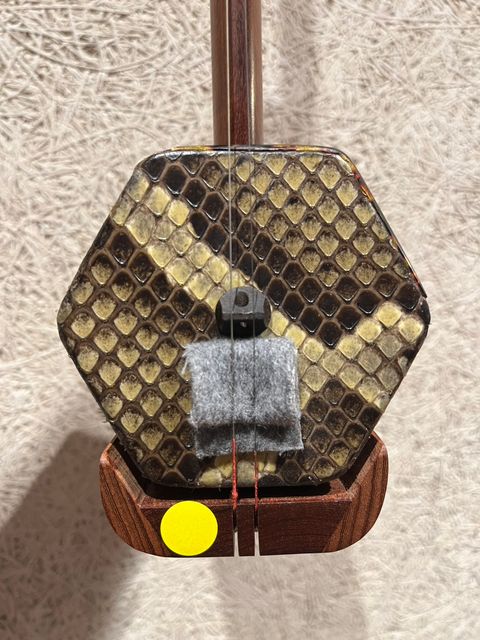 S__19243033_0