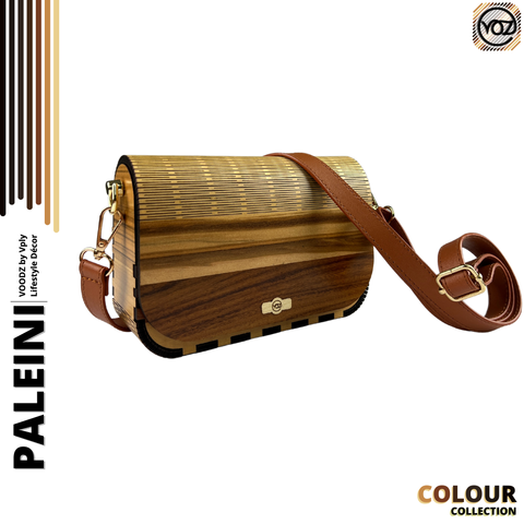 NEW DESIGN PALEINI .png