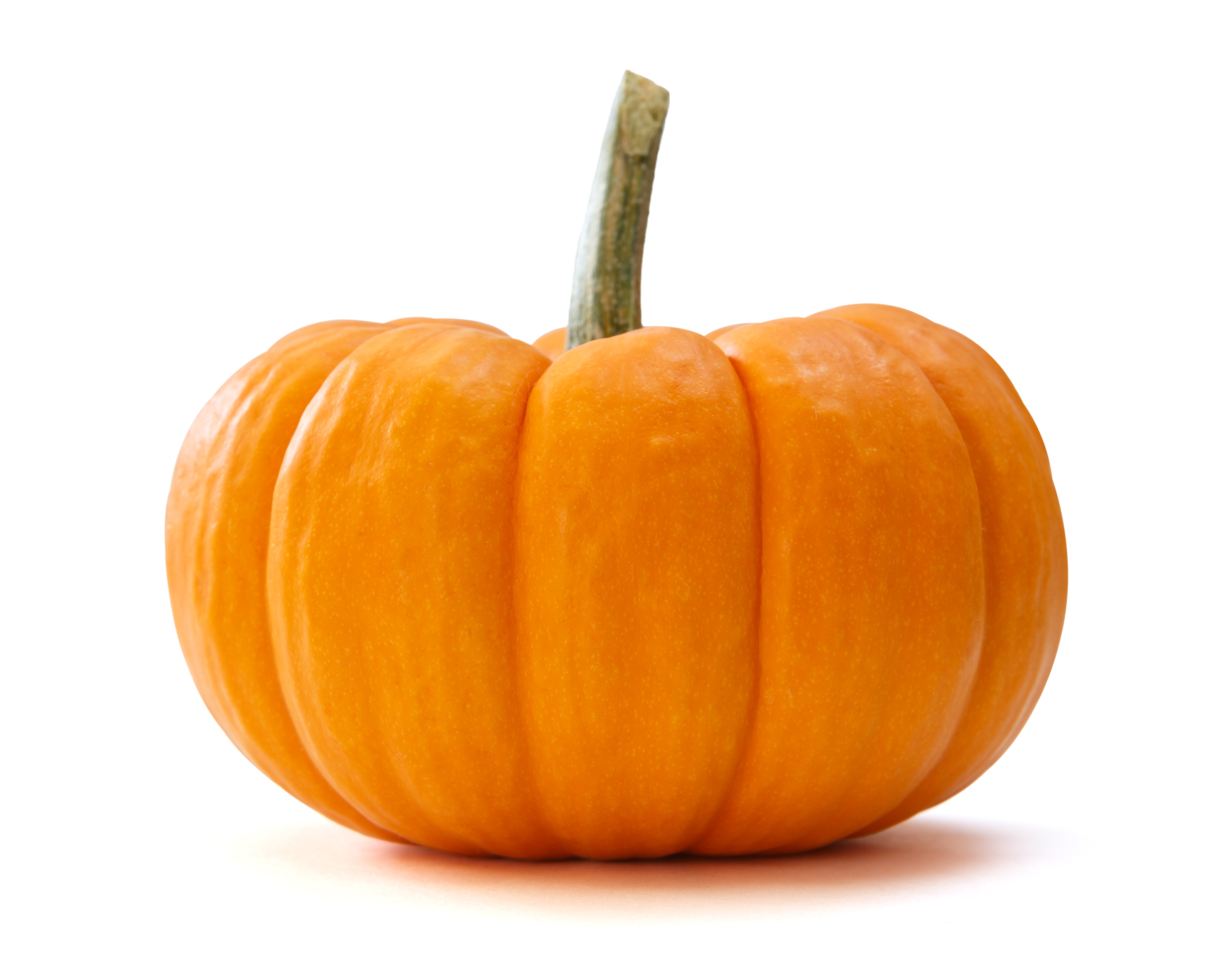 15653794_xxl (Pumpkin).jpg