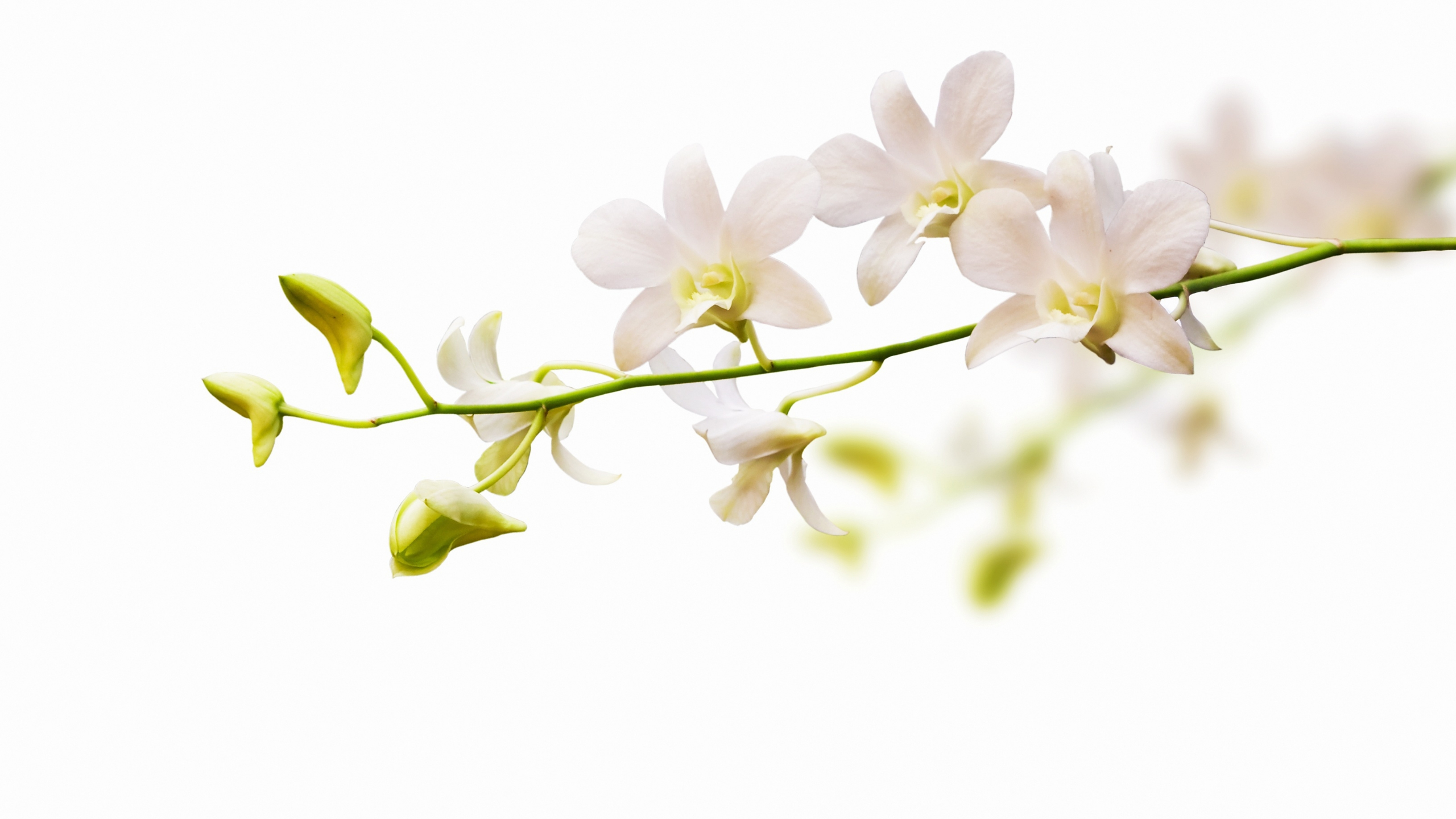 beauty talk malaysia | Sign Up to Redeem RM10 Voucher