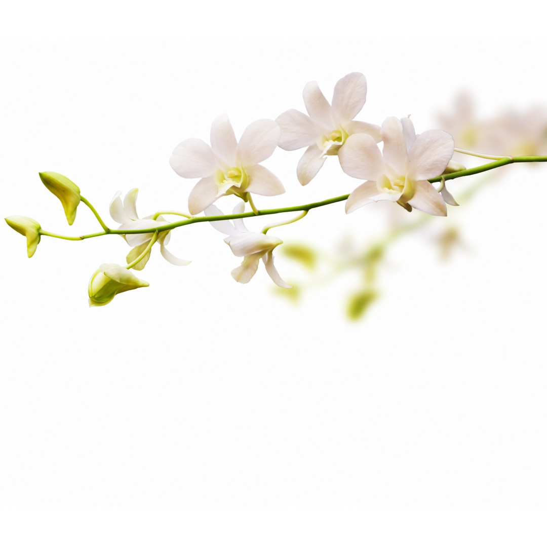 beauty talk malaysia | Sign Up to Redeem RM10 Voucher