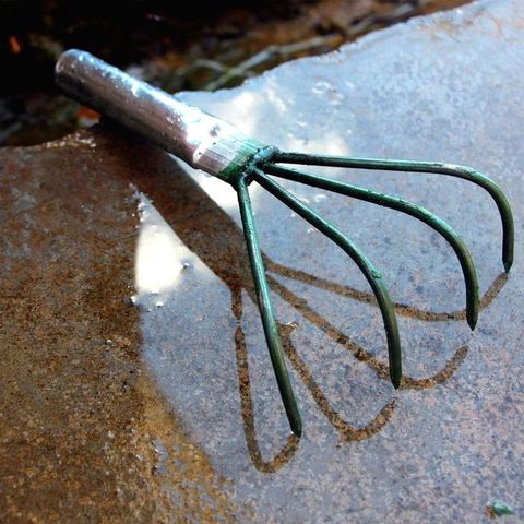 sg-11134201-7rdwl-lyu7scwadafadc_edit_592798394509749