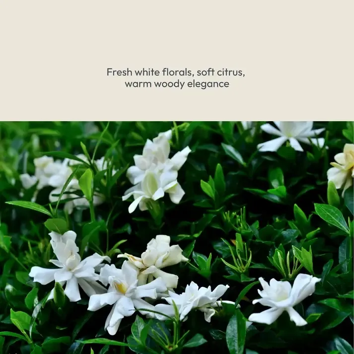 Cleopatra_Scent