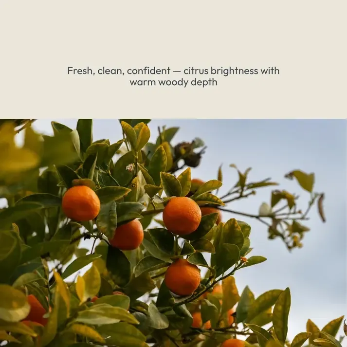 Colossus_Scent