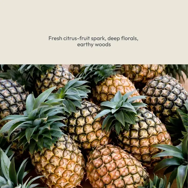 Omegha_Scent