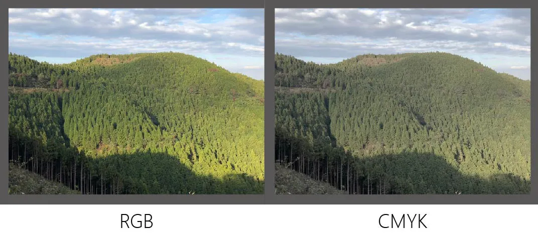 截圖 2024-12-13 上午10.33.54