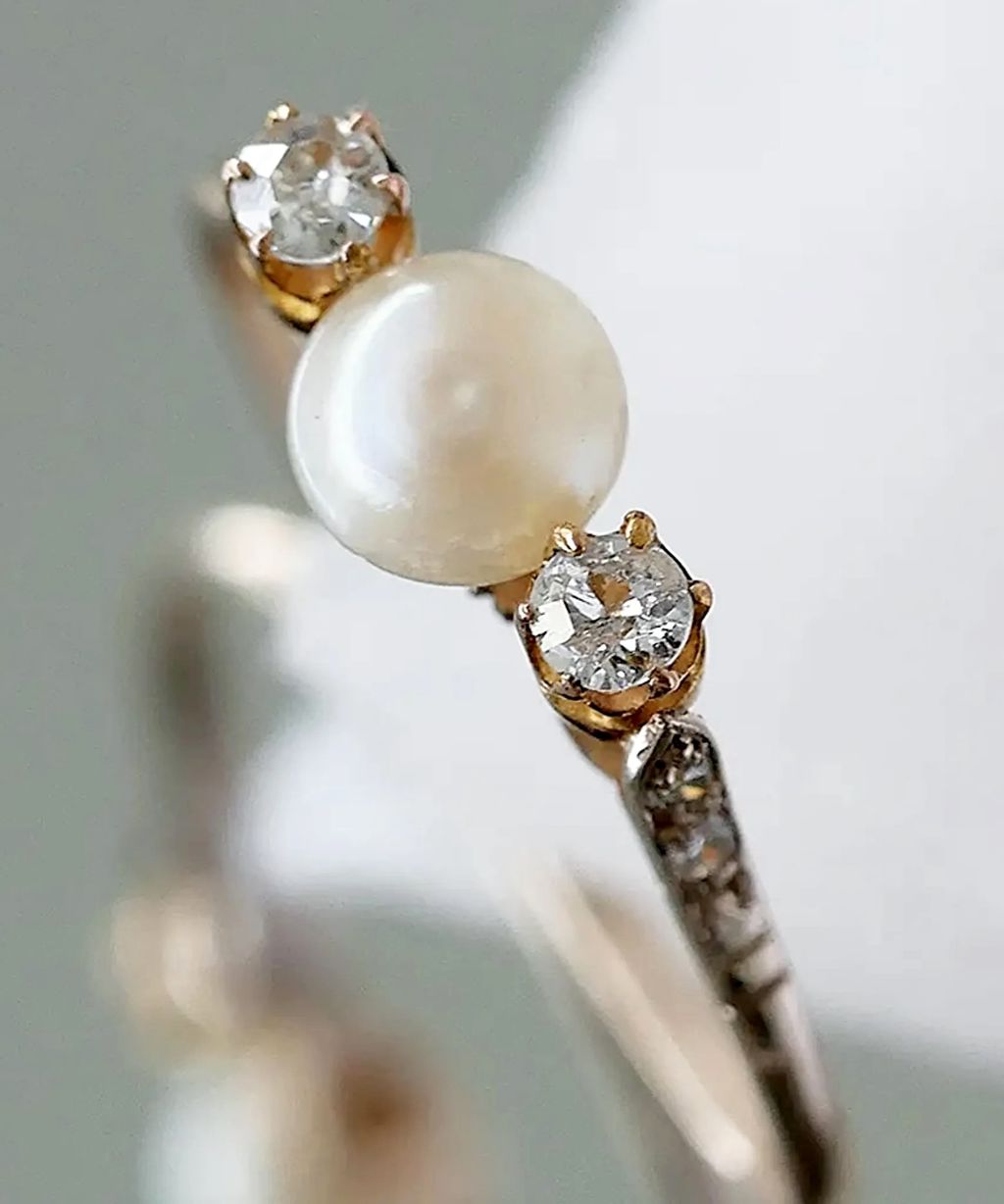 image_F8151626-0C29-4591-85A1-810D12A3128A_1768737870