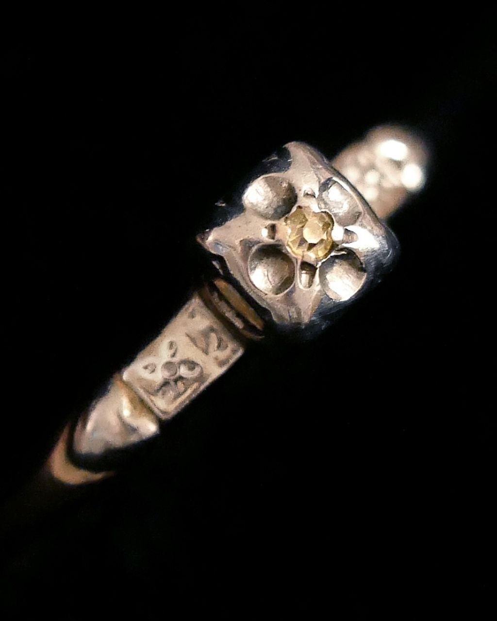 image_22E6FA59-52C4-4195-9C62-FB2CD121737D_1768989432