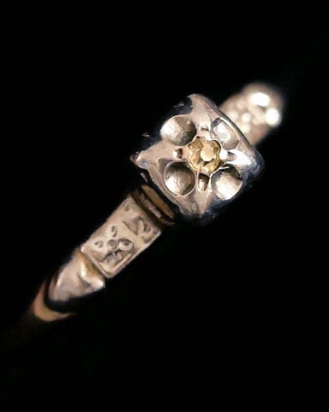 image_22E6FA59-52C4-4195-9C62-FB2CD121737D_1768989432