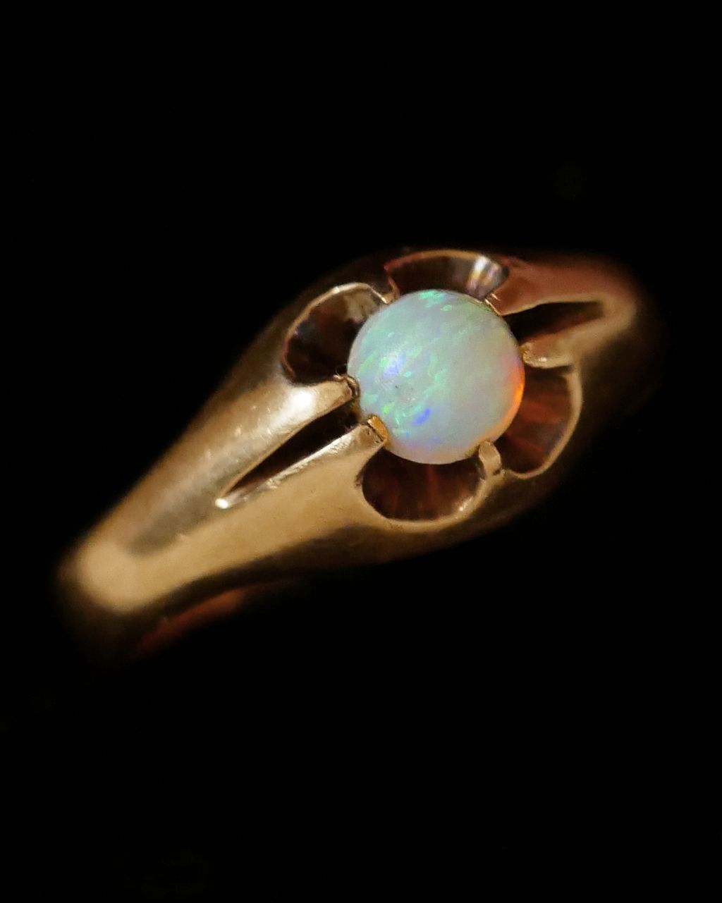 image_522FF67A-2021-4688-AFD2-6965DF1AD8D3_1769072167