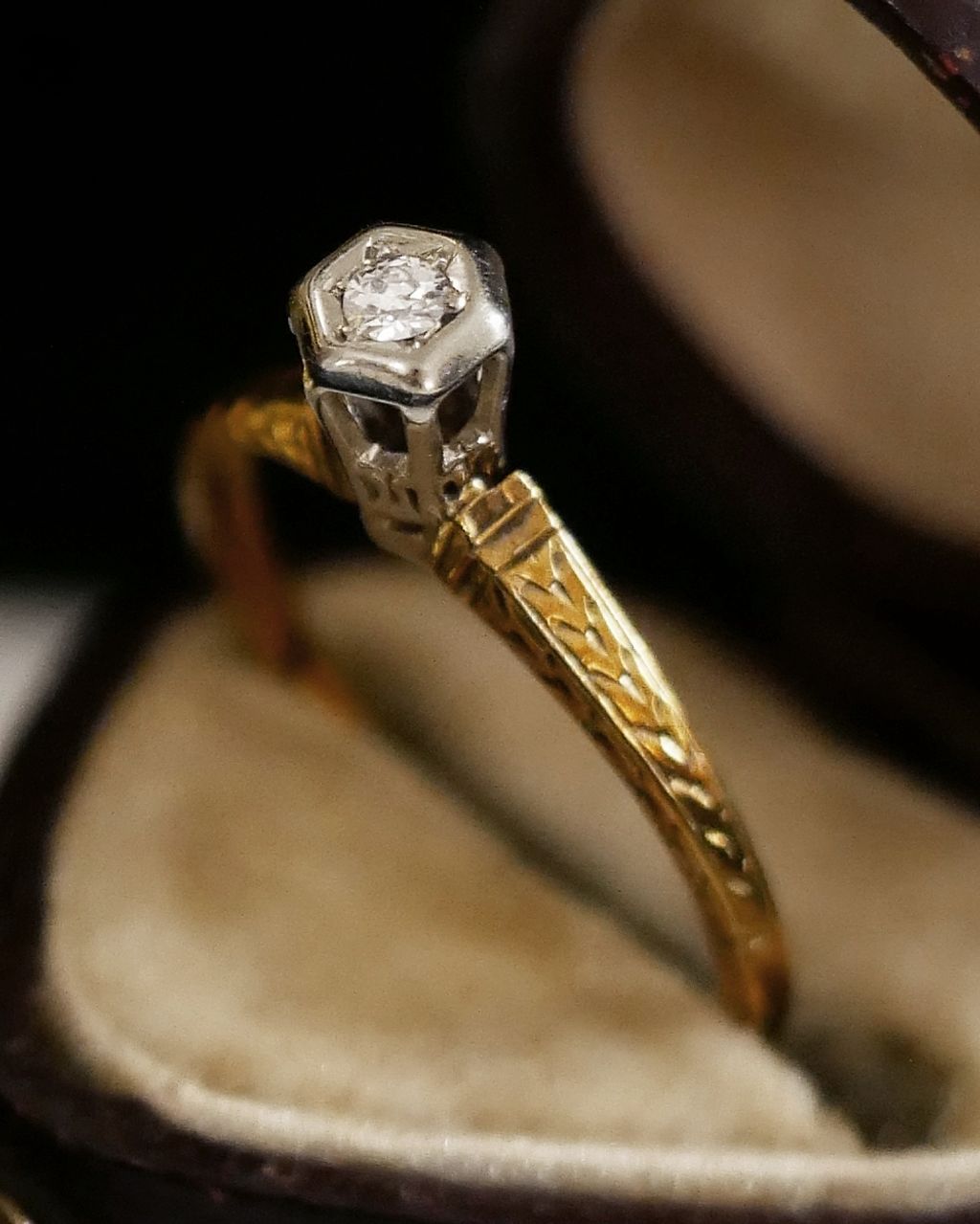 image_C64F77A1-9BB2-4354-ADA1-75175D7EA2A9_1769080904