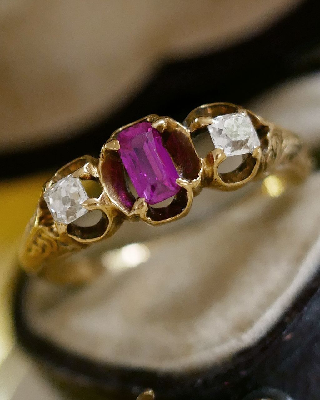 image_CB3F148D-6FA7-40E0-866E-E1B0153ED20B_1769081339