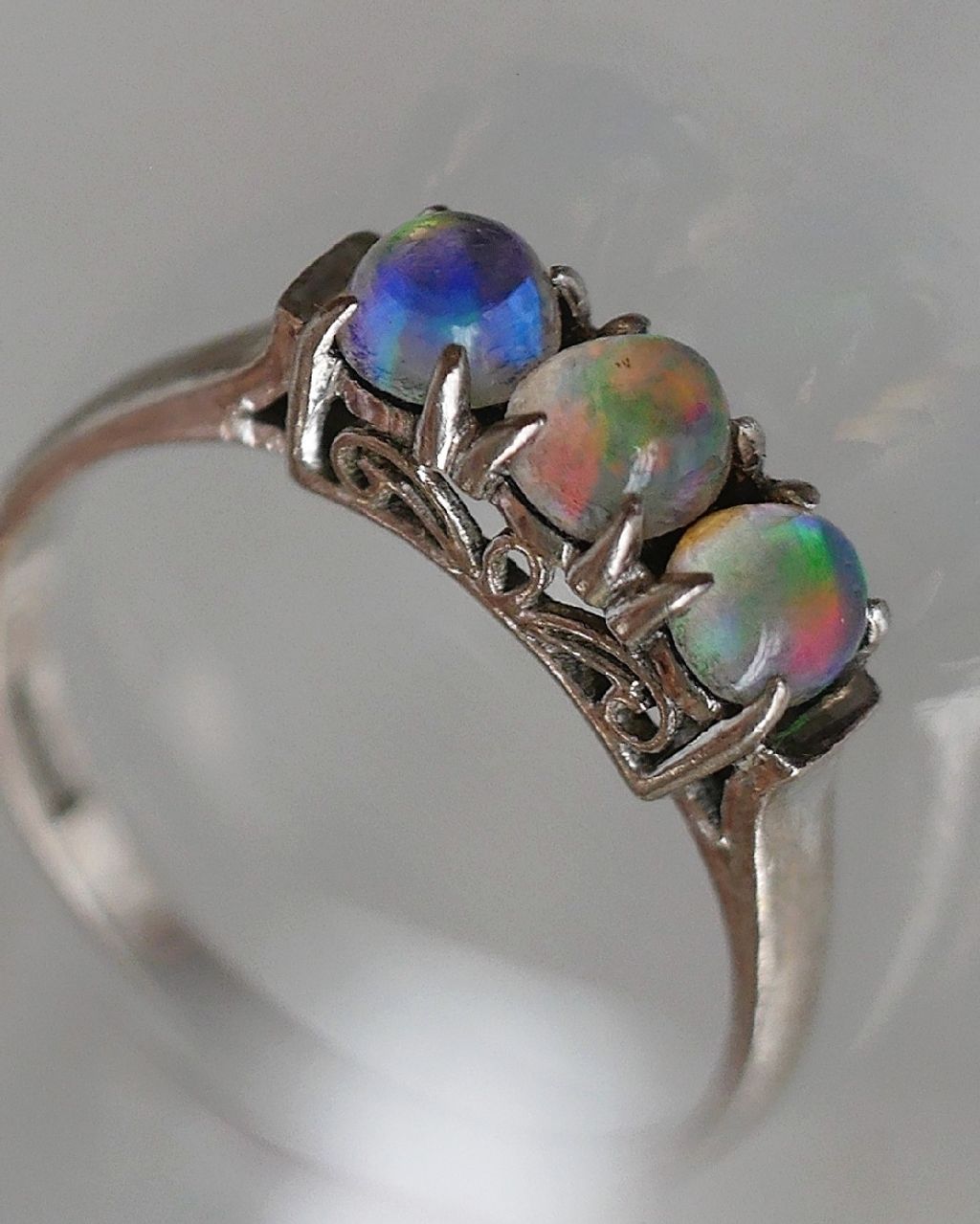 image_EA47AEDB-34CE-4117-8FC2-A35A72E0F6B1_1769424439