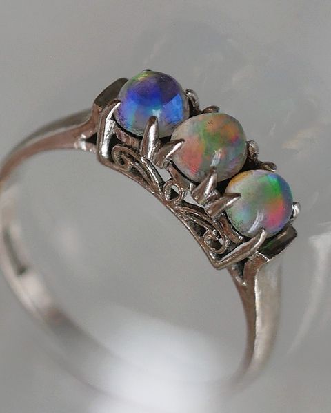 image_EA47AEDB-34CE-4117-8FC2-A35A72E0F6B1_1769424439