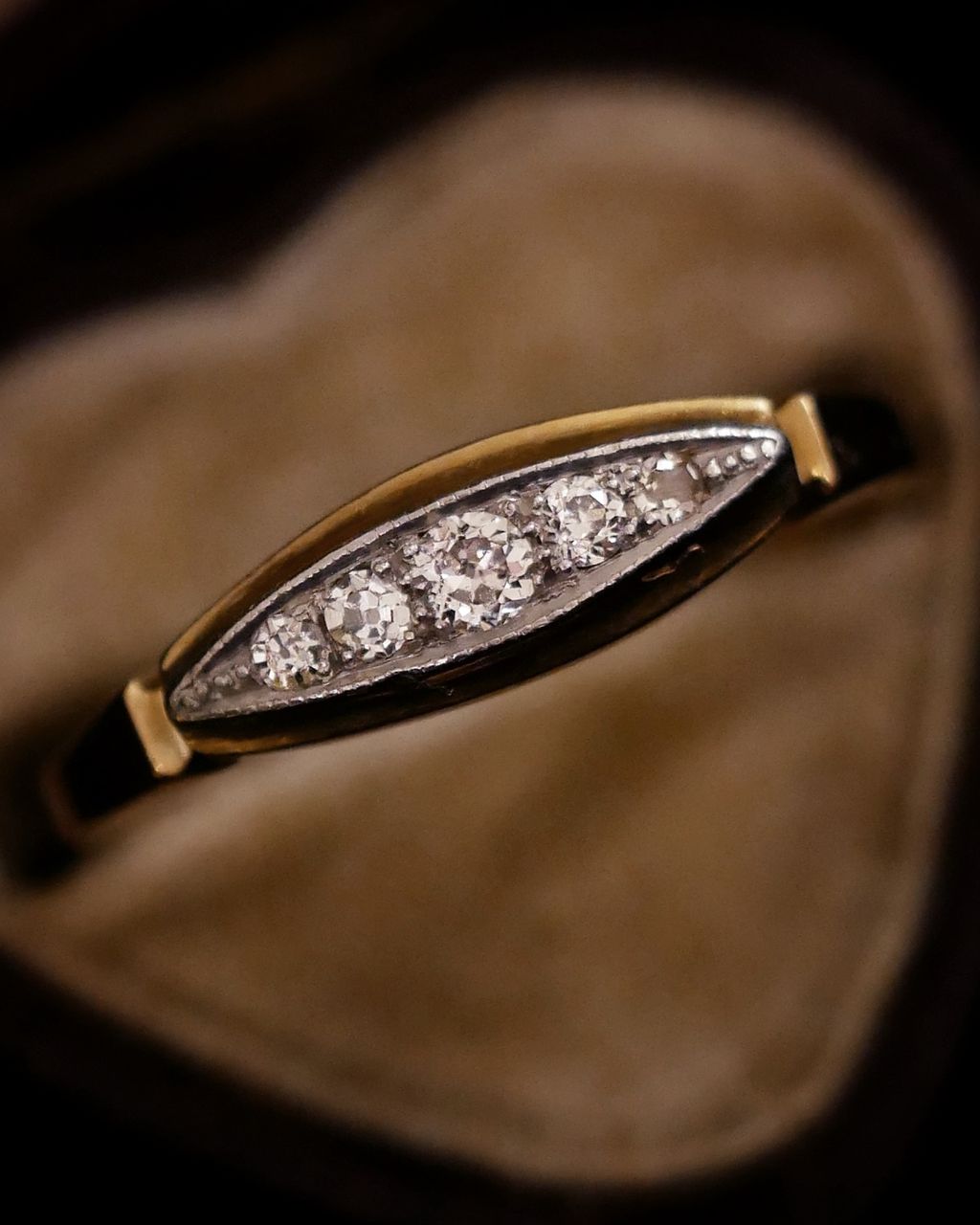 image_E30F5AD4-6C78-4BFE-8D7B-52B04C9A4FA3_1770194740