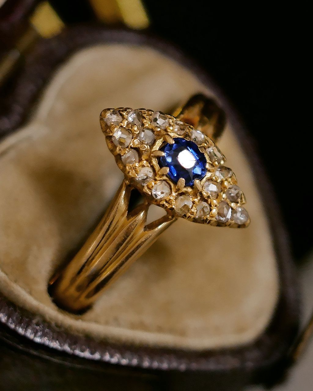 image_FED94B4B-6891-4CBB-8C11-3C5EEF0471FE_1771093601