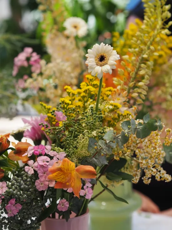  | Urban Botany