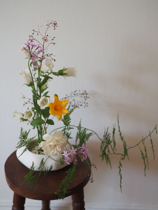  | Urbanbotany & Nana's gathering 