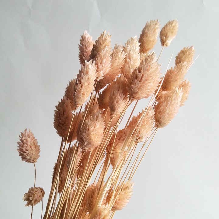 190613_3 .jpg