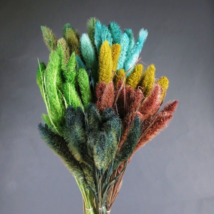 藍綠系狗尾草.jpg