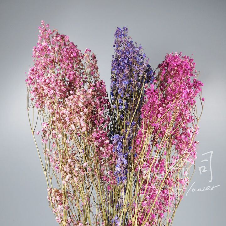 190711_7 .jpg
