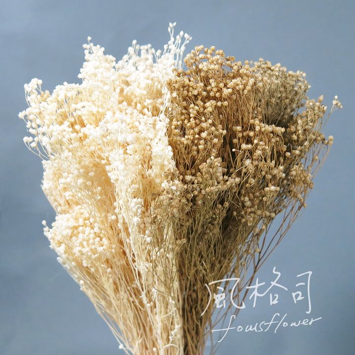 木滿天星.jpg