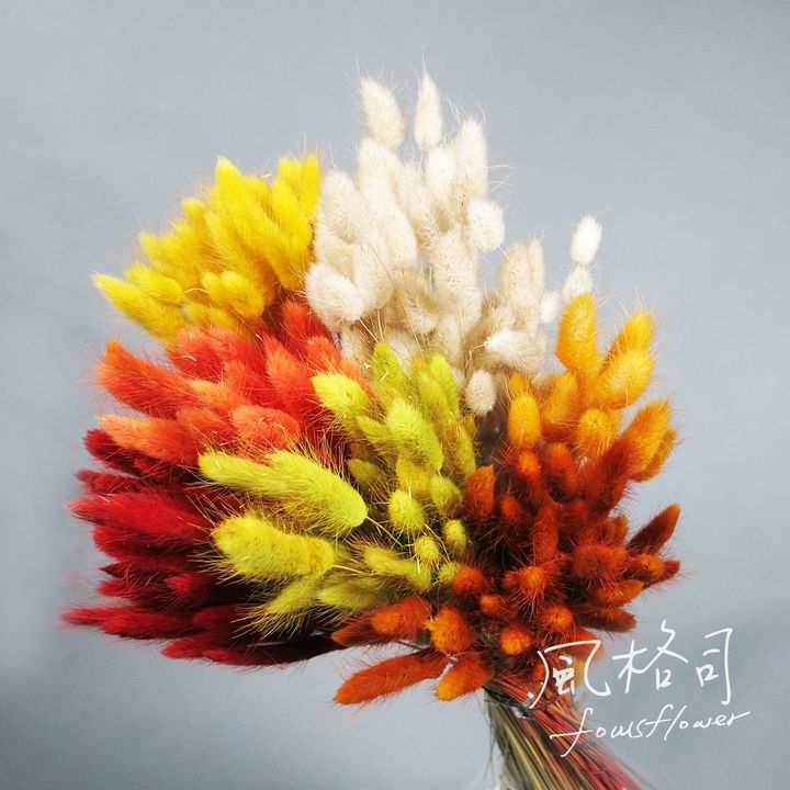 兔尾(橘系.jpg