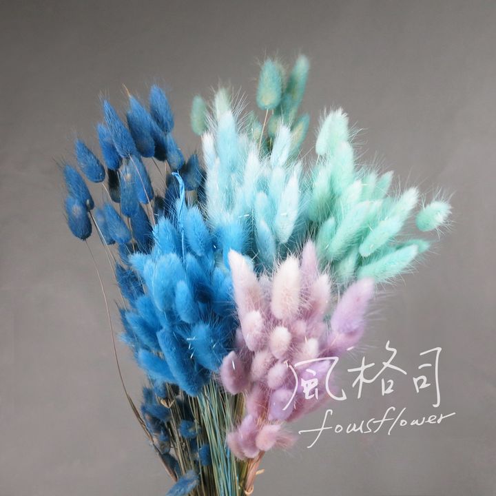 兔尾(藍系.jpg