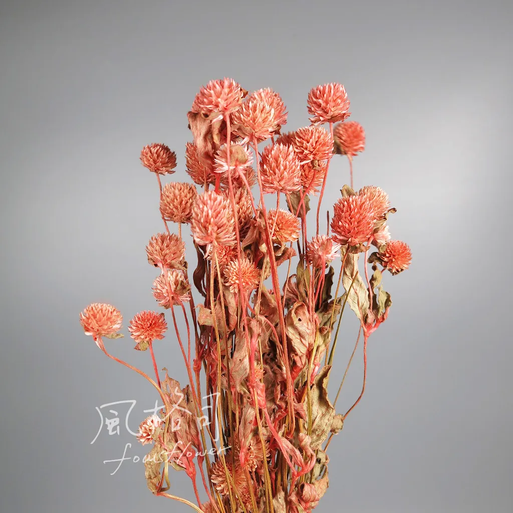 千日紅亮珊瑚紅 風格司花藝