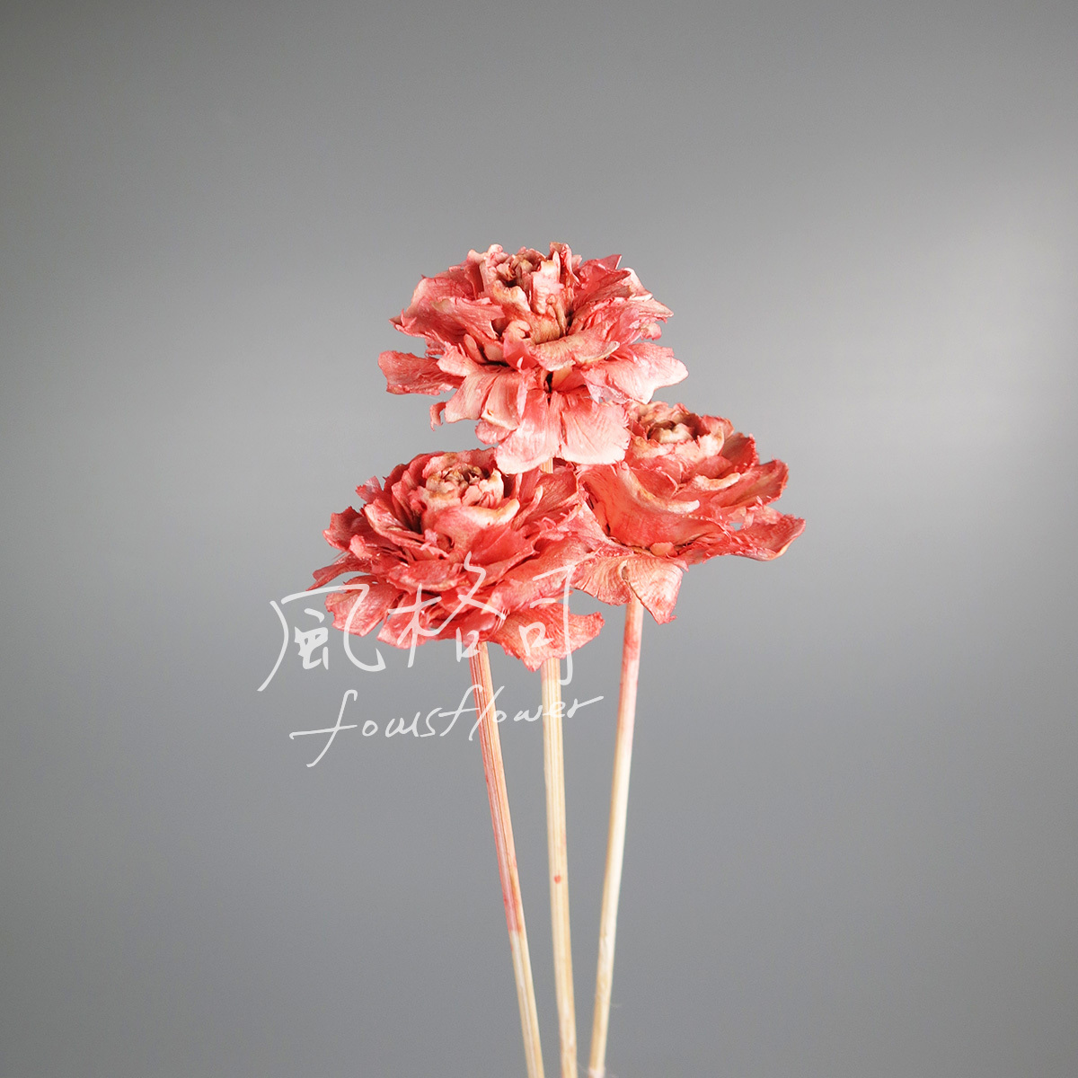 松果花-粉2.jpg
