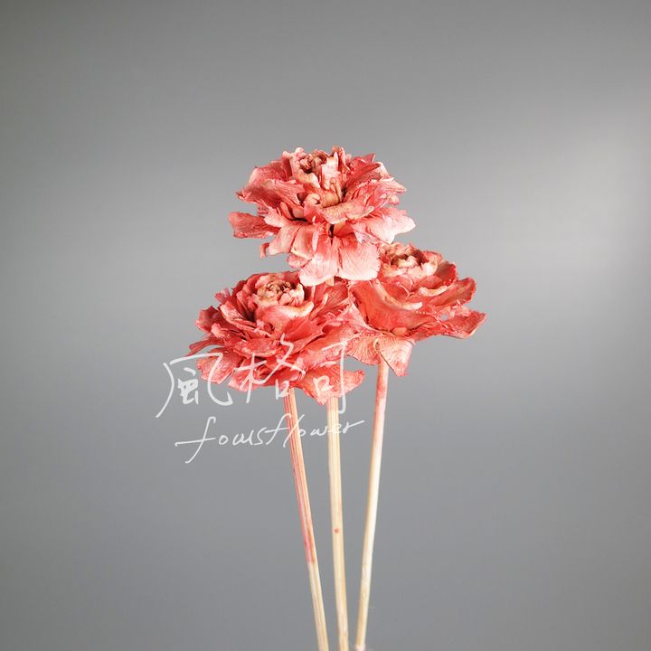 松果花-粉2.jpg