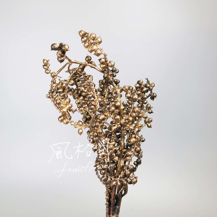 花材-6-1.jpg