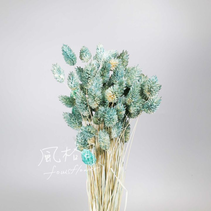 花材-4-1.jpg